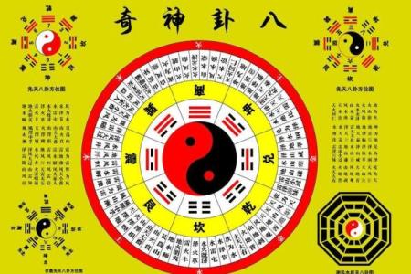 商业：办公养花风水与五行八卦