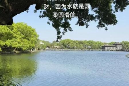 为何传统风水中以水为财？