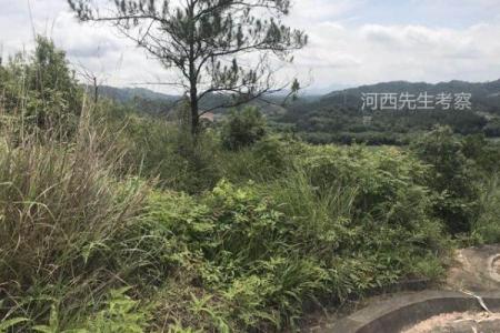 人丁兴旺的风水墓地