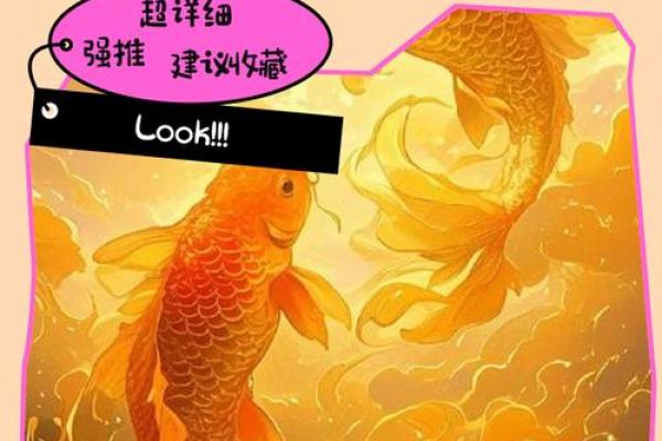 鱼缸里随便养几条鱼就算是风水鱼吗？