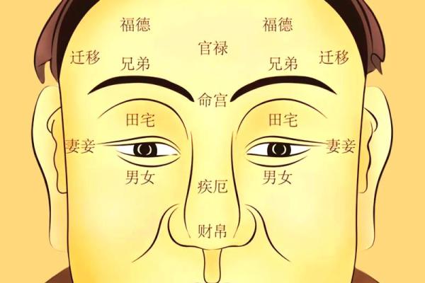 你的五官里，藏着你一生的风水