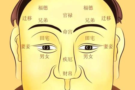 你的五官里，藏着你一生的风水