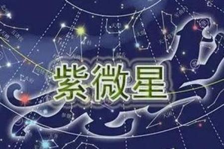 紫薇星贴吧
