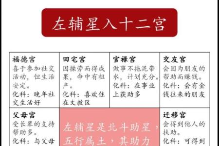 紫薇斗数  -_是什么意思