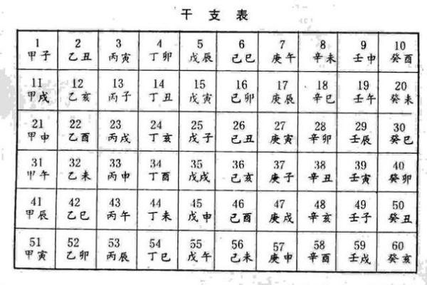 八字干支身体部位对照表