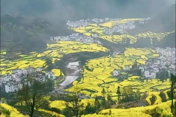 商业旺财风水局 商业旺财风水局