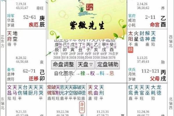 紫微斗数之诸星值限年运气推断：辅弼星之年