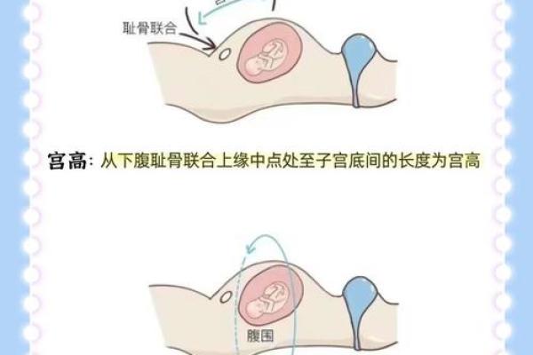 2024年农历十月初四日子可以安床吗?胎神方位在哪? 2024年农历十月初四日子可以安床吗?胎神方位在哪?