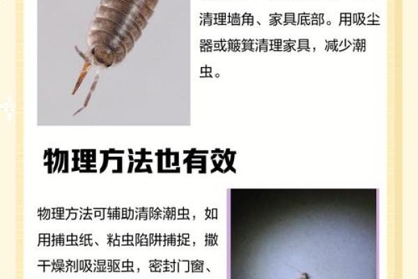 家里风水_家里突然出现多个潮虫是什么征兆 家里风水_家里突然出现多个潮虫是什么征兆