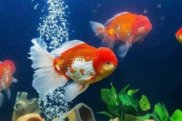 家中的风水禁忌大全，赶紧收藏