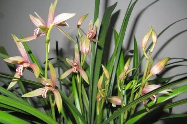 家中的风水禁忌大全，赶紧收藏