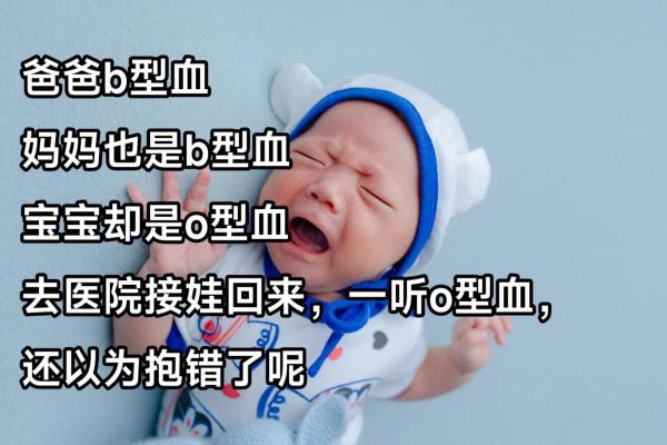 血型优质宝宝从小培养起
