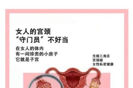 探索女性私密能量在风水中的重要性