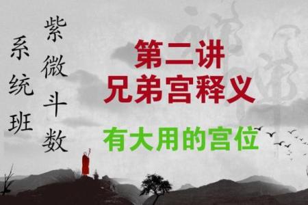 紫微斗数诸星落诸宫之：太阳星兄弟宫详解
