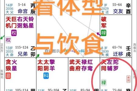 紫薇斗数吧疾厄