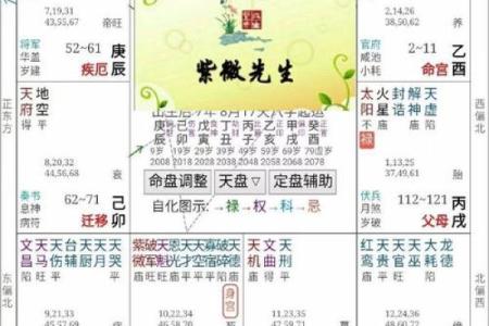 紫微斗数之诸星值限年运气推断：辅弼星之年