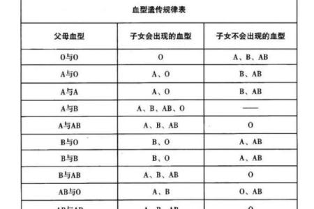 血型b+和b-是什么意思