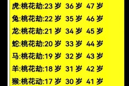 八字有咸池代表是什么？