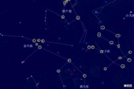 长寿的紫薇斗数