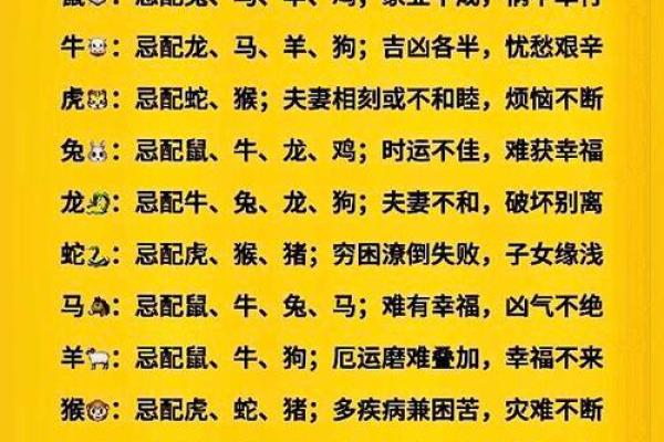 90属马人和96属鼠人配对  两人可以结婚吗