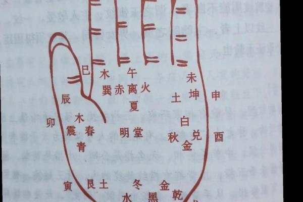 手纹线图解大全男人手相 男人算命看左手还是右手