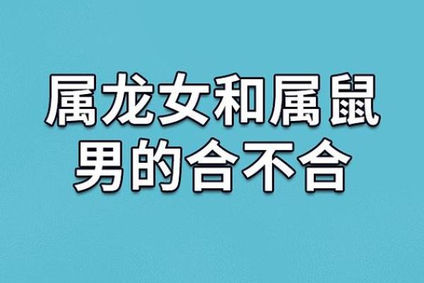 96年鼠男配什么生肖 96年鼠男与什么属相最不配对