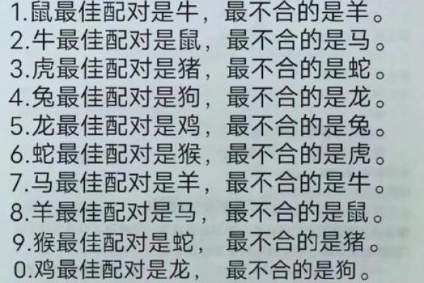 生肖配血型前途最远大TOP3