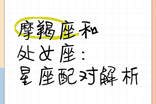 摩羯座女生处女座男生配对怎么样