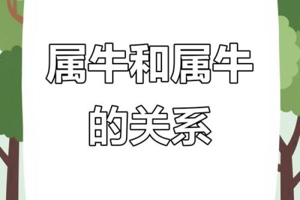 牛跟什么生肖配对最好 生肖牛最佳配对