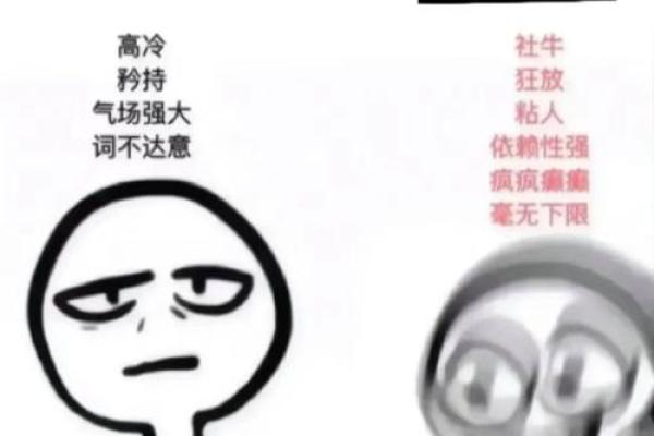 让人误解天蝎座的星座有哪些