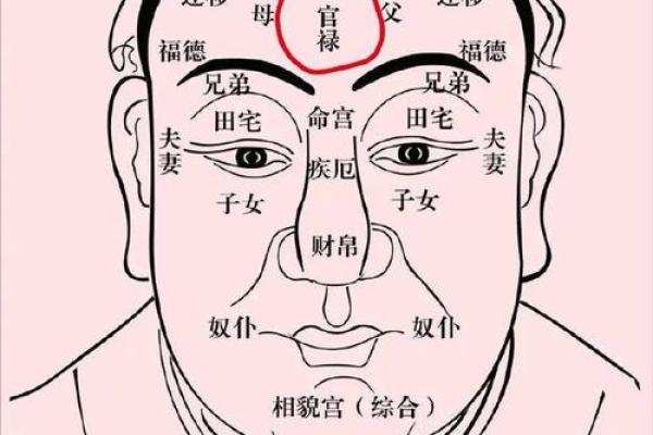 紫薇斗数的官禄宫