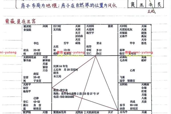 倪海厦紫微斗数案例08 倪海厦 紫薇斗数？
