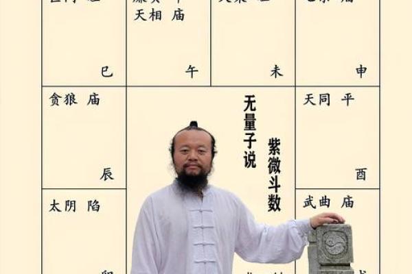 紫薇斗数武曲详解