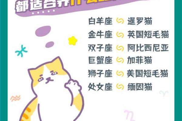 十二星座什么地方适合养猫
