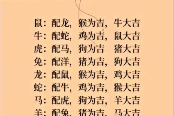 龙和老鼠属相合不合 龙和老鼠配对如何