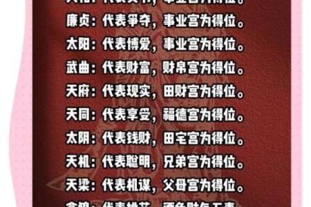 紫薇斗数星耀太多