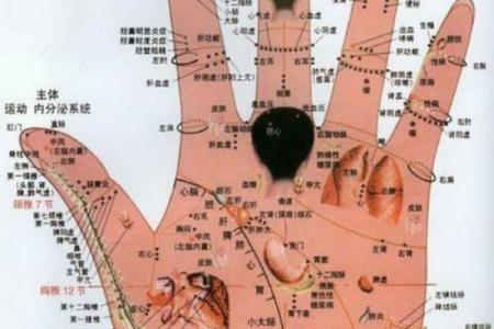 手纹线图解大全男人手相 男人算命看左手还是右手