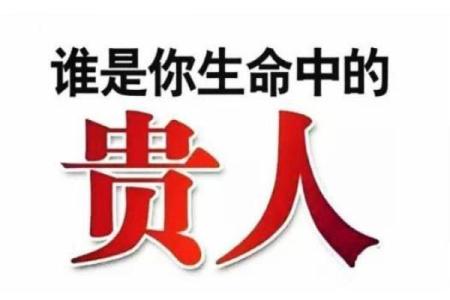 八字命盘中绿马是什么意思