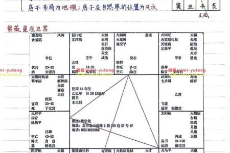倪海厦紫微斗数案例08 倪海厦 紫薇斗数？