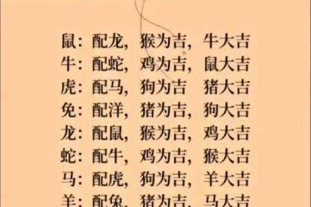 龙和老鼠属相合不合 龙和老鼠配对如何