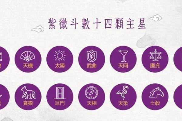 紫微命格查询表 紫微斗数之144种命格