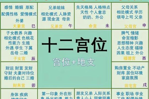 紫薇斗数感情分析