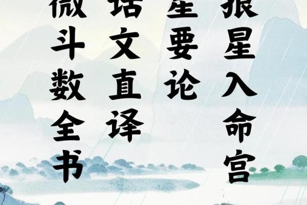 紫薇斗数丁年