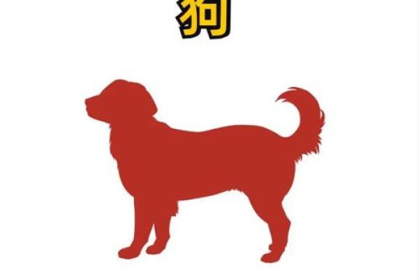 2024年打牌财运方位 属狗打牌坐哪个方位好