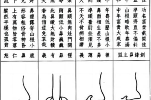 面相算命鼻子
