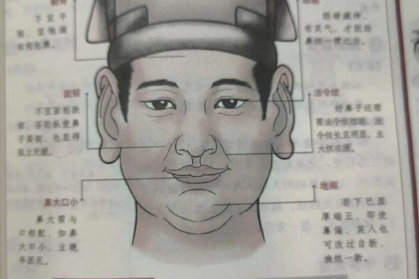 面相算命鼻子