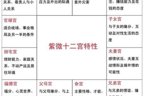 紫薇斗数对冲忌
