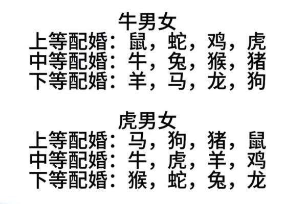 生肖月份表 生肖属相月份配对表