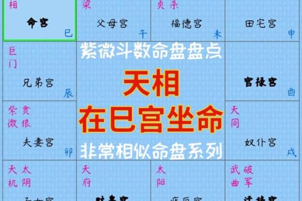 紫薇斗数二胎看那个宫位
