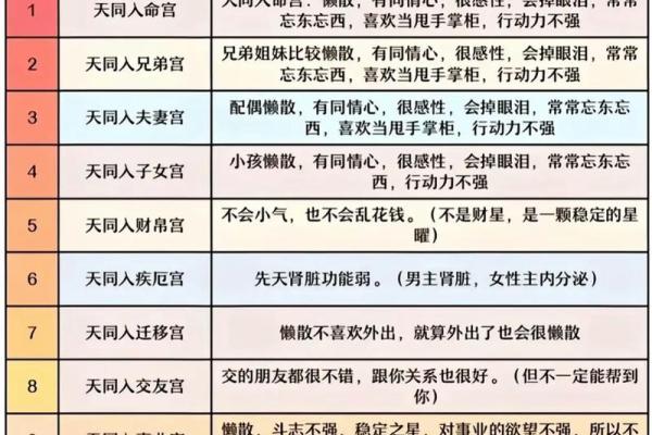 紫薇斗数4